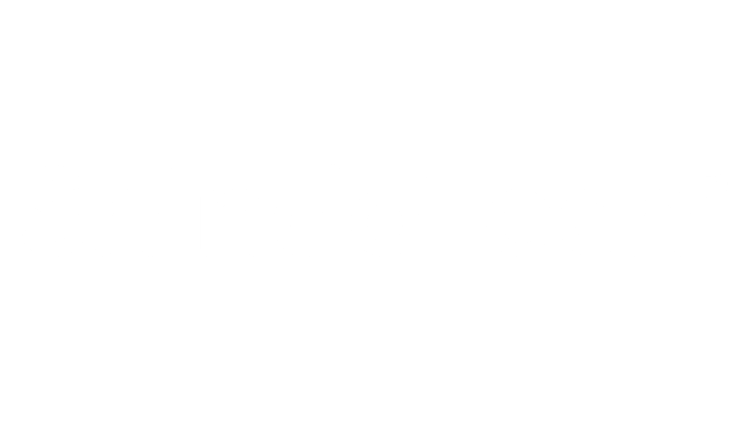 ShindoTech-logo_BLANCO